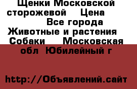 Щенки Московской сторожевой  › Цена ­ 25 000 - Все города Животные и растения » Собаки   . Московская обл.,Юбилейный г.